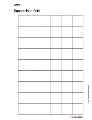 Square-Inch Grid Printable (1st - 5th Grade) - TeacherVision